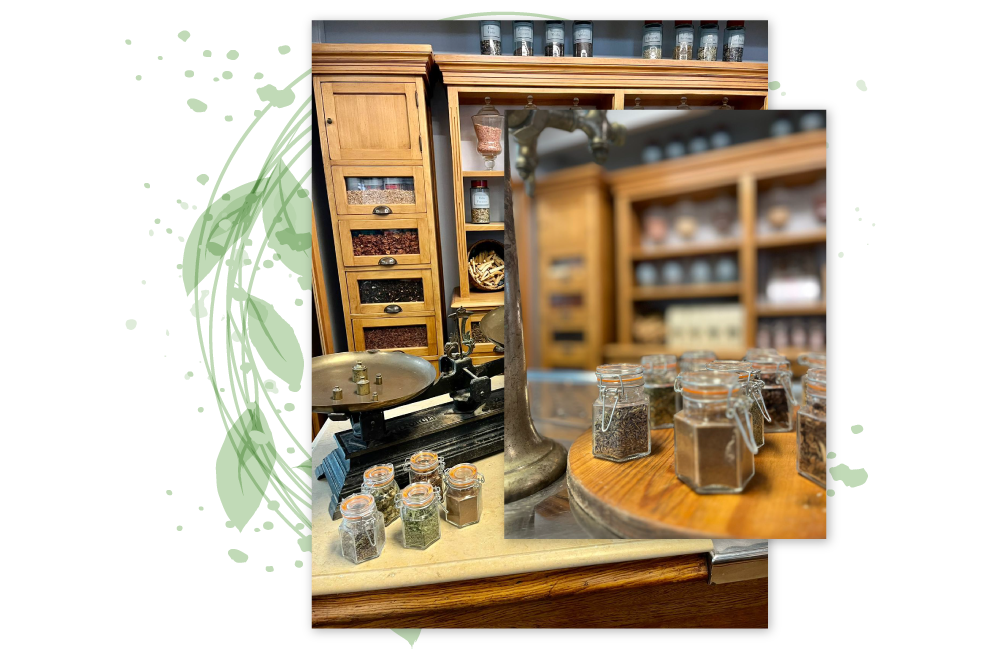 pharmaciedelolivier herboristerie