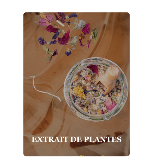 Plantes