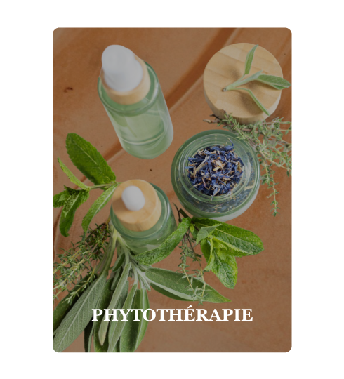 Phytothérapie