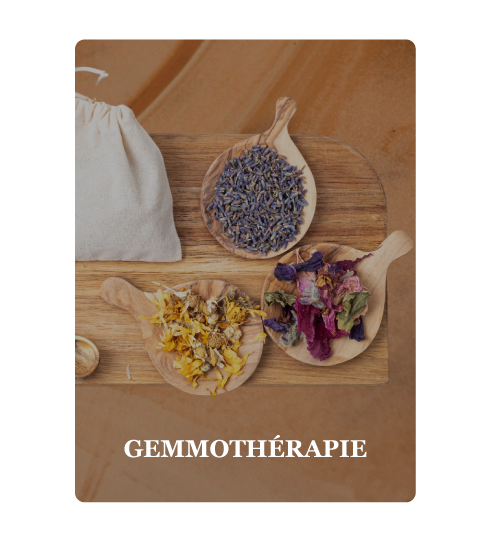 Gemmothérapie