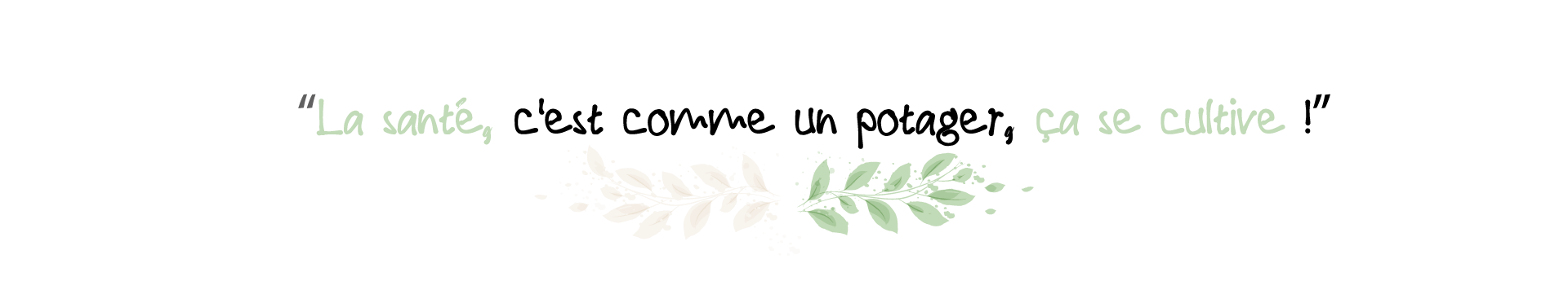 pharmaciedelolivier ban citation