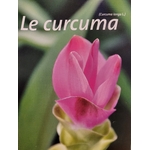 curcuma photo