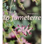 fumeterre photo
