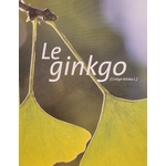 ginkgo photo