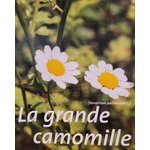 grande camomille photo