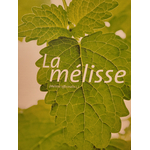 melisse photo