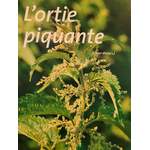 ortie piquante photo