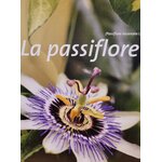 passiflore photo