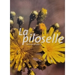 piloselle photo