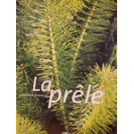 prele photo