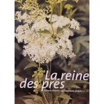 reine des pres photo