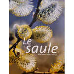 saule photo