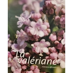 valeriane photo