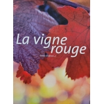 vigne rouge photo