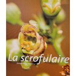 scrofulaire photo