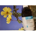 tribulus EPS