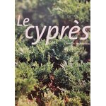 cypres photo