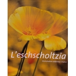eschscholtzia photo