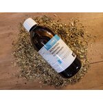 alchemille EPS