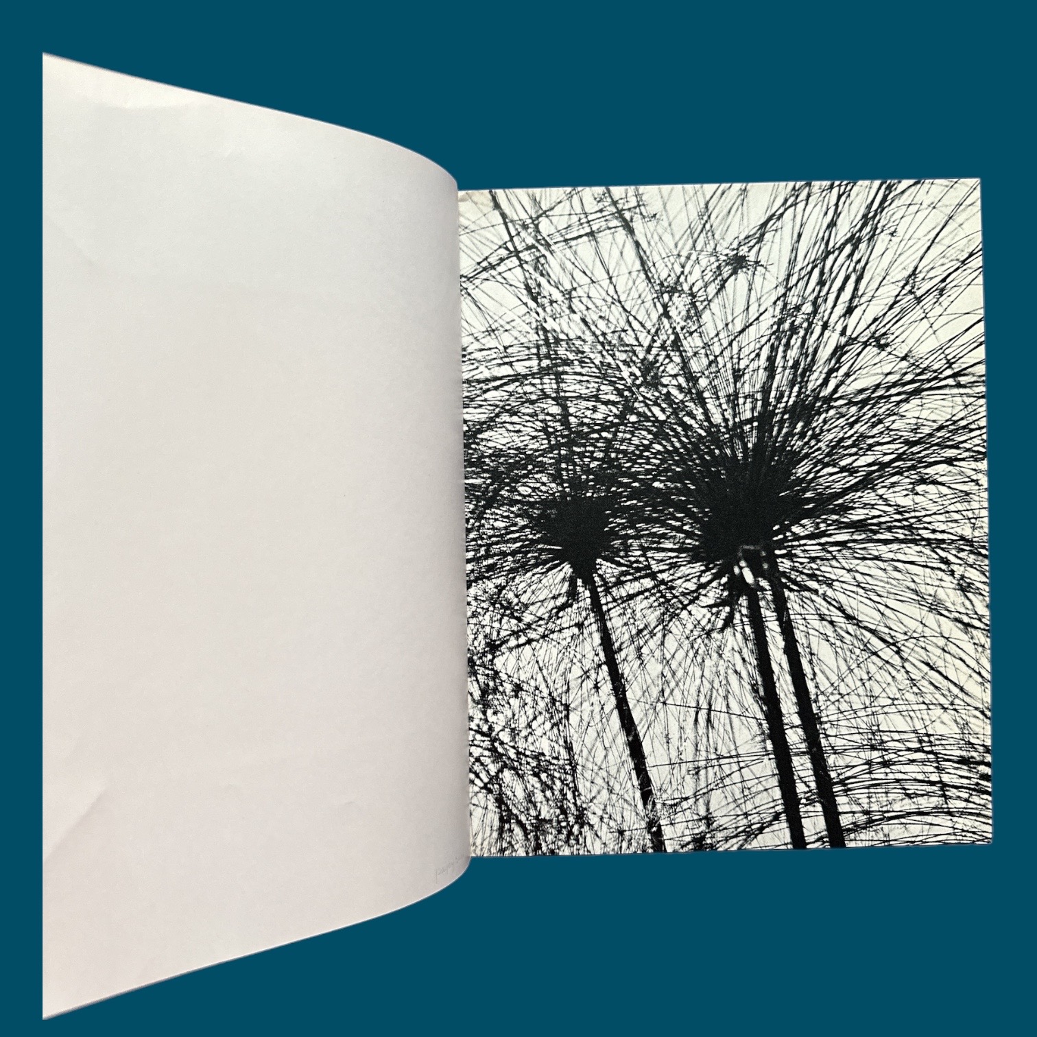 FAVROD Ch. H. / GRINDAT H. : Le Nil. La Route des Rois. Librairie. Voyage