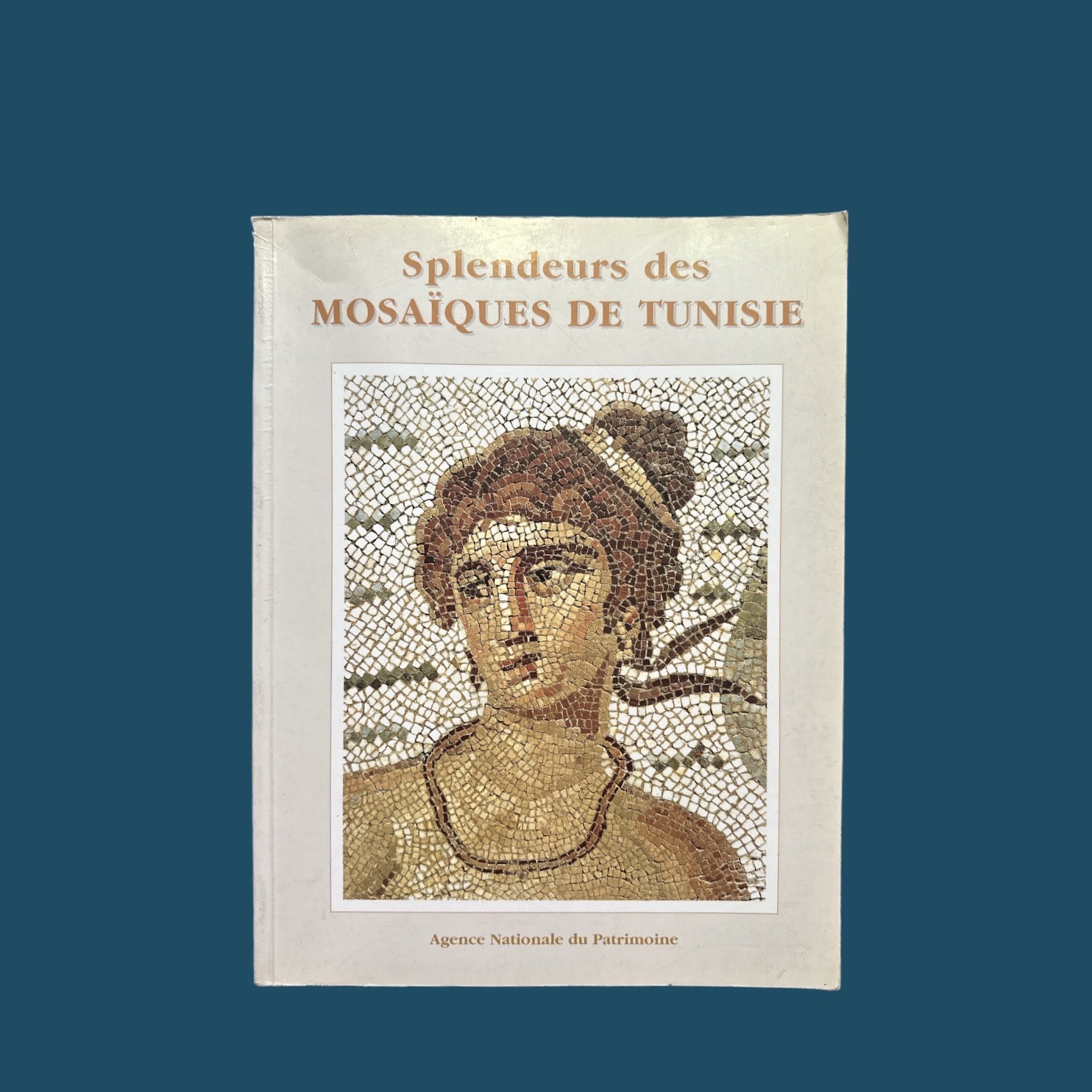 Splendeurs Mosaïques de Tunisie (300x230mm)