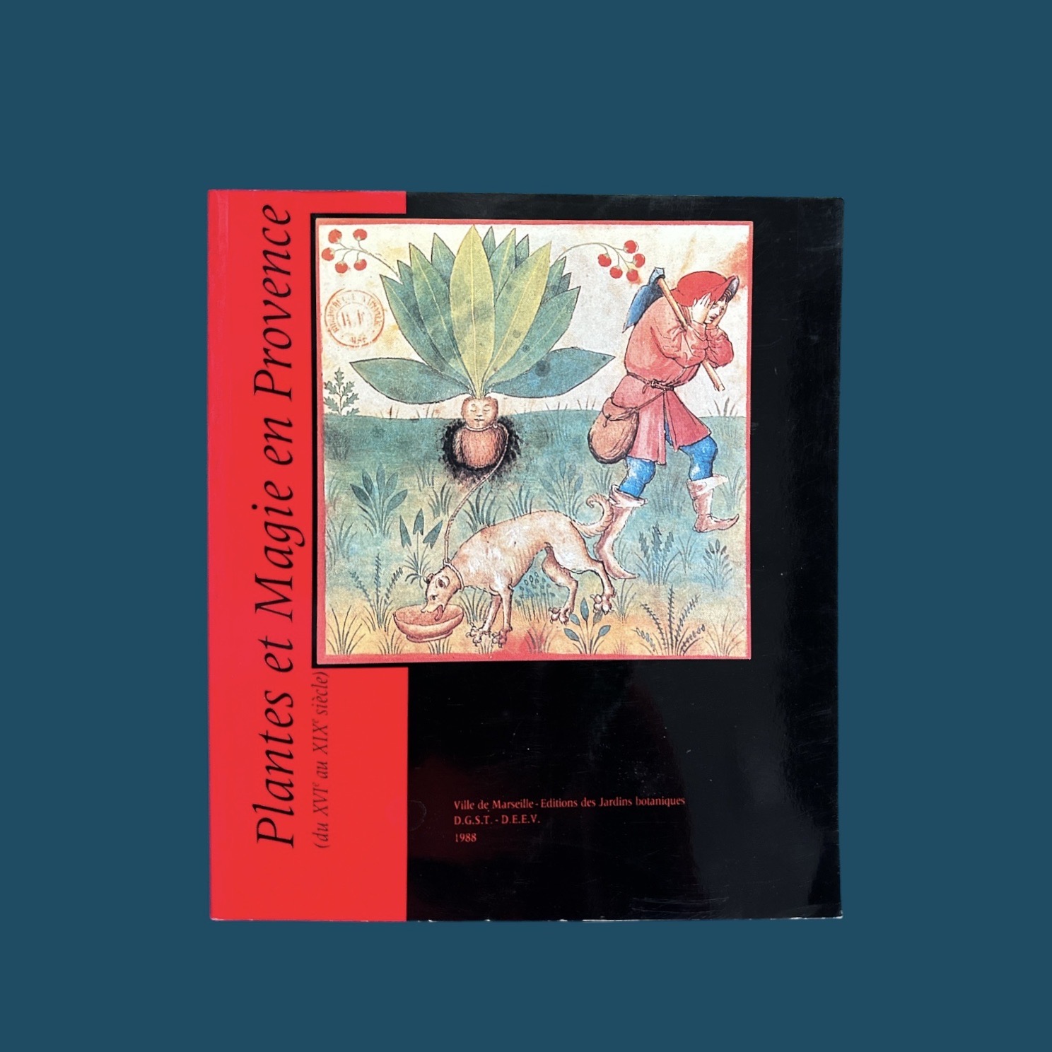 Plantes et Magie en Provence (210x240mm)
