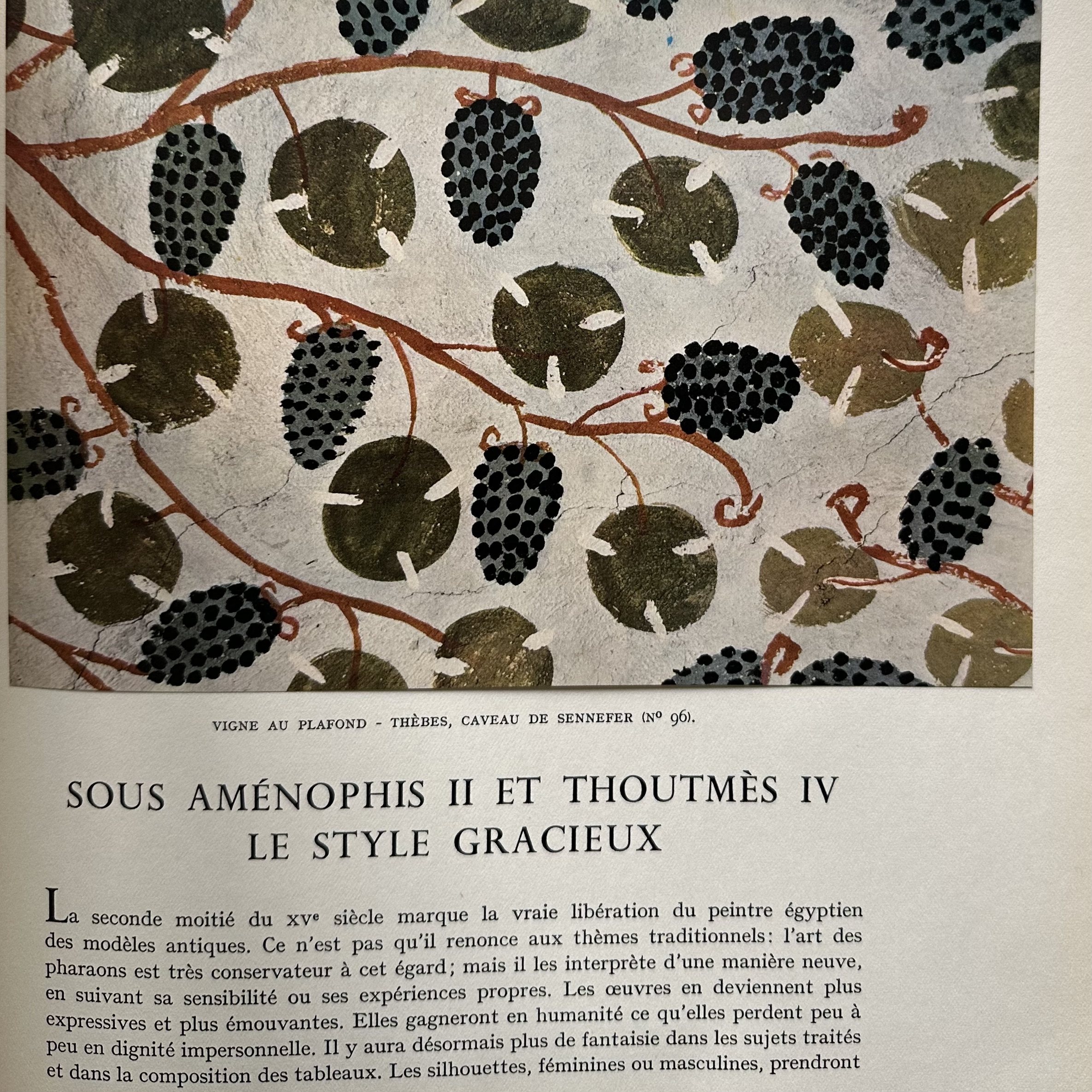 MEKHITARIAN Arpag  : LA PEINTURE ÉGYPTIENNE. Collection : Les grands siècles de la peinture. La Route des Rois. Librairie. Art. Artisanat