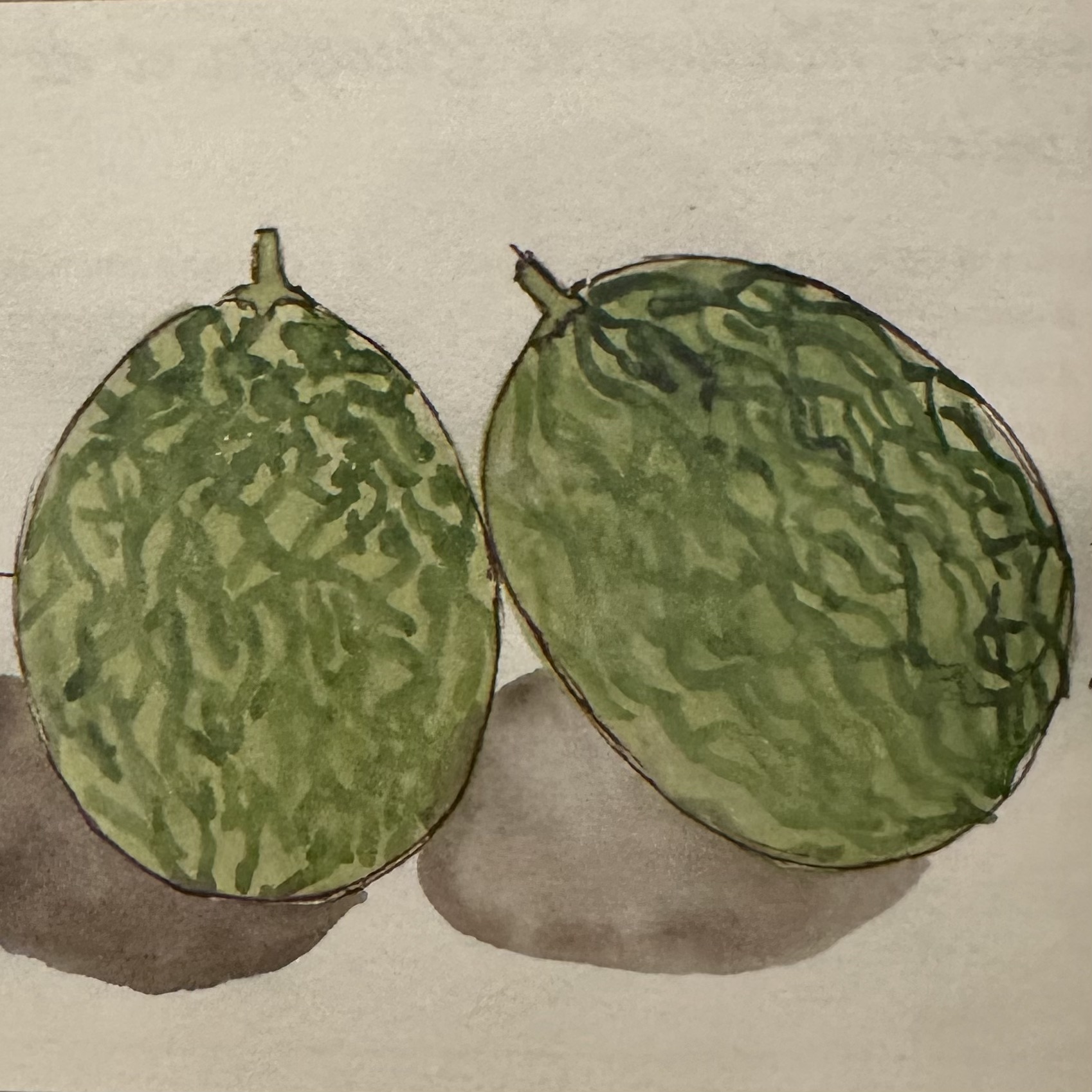VUILLON, BAMERIE : Secrets et Saveurs des Cucurbitacées des Olivades. Préface Alain Ducasse. La Route des Rois. Librairie. Gastronomie