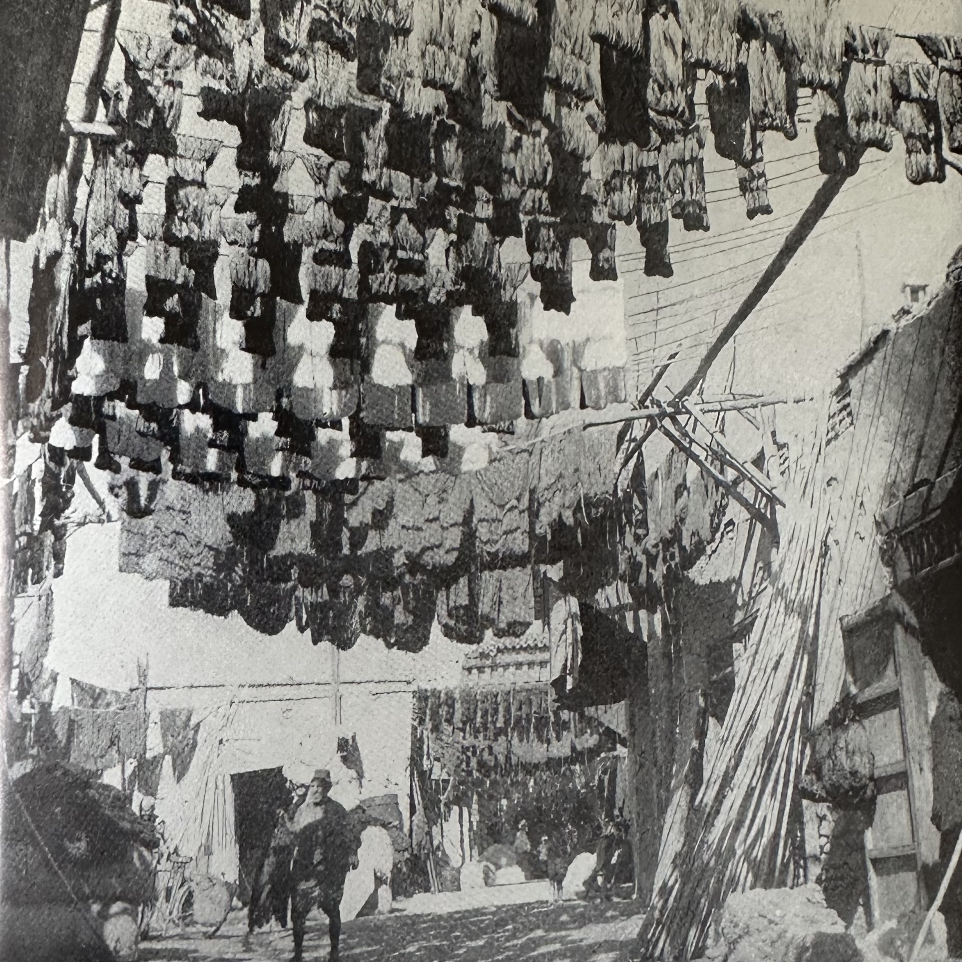 CHEGARAY Jacques : Au Maroc à lAventure. La Route des Rois. Librairie. Voyage