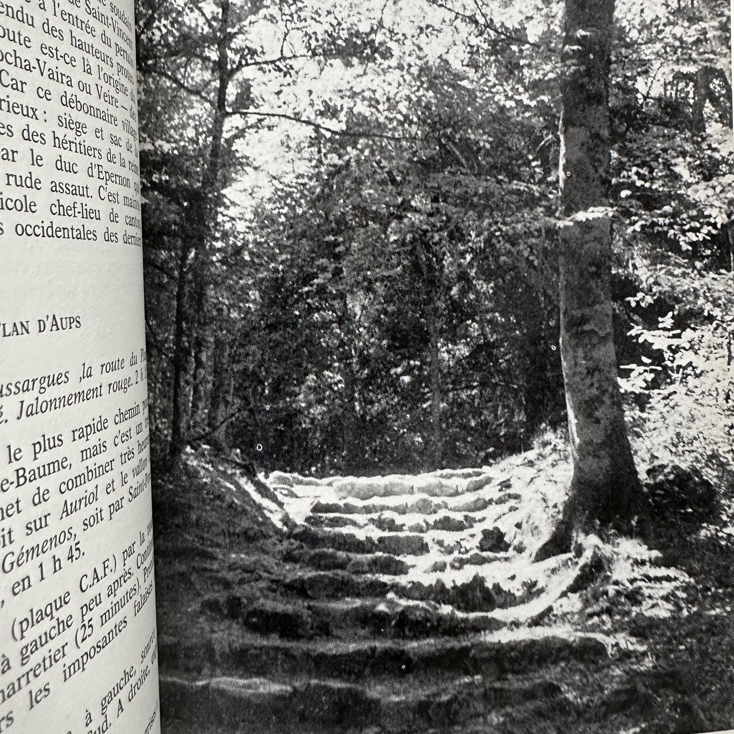 IMOUCHA Henry : Sainte Baume. La Route des Rois. Librairie. Marseille