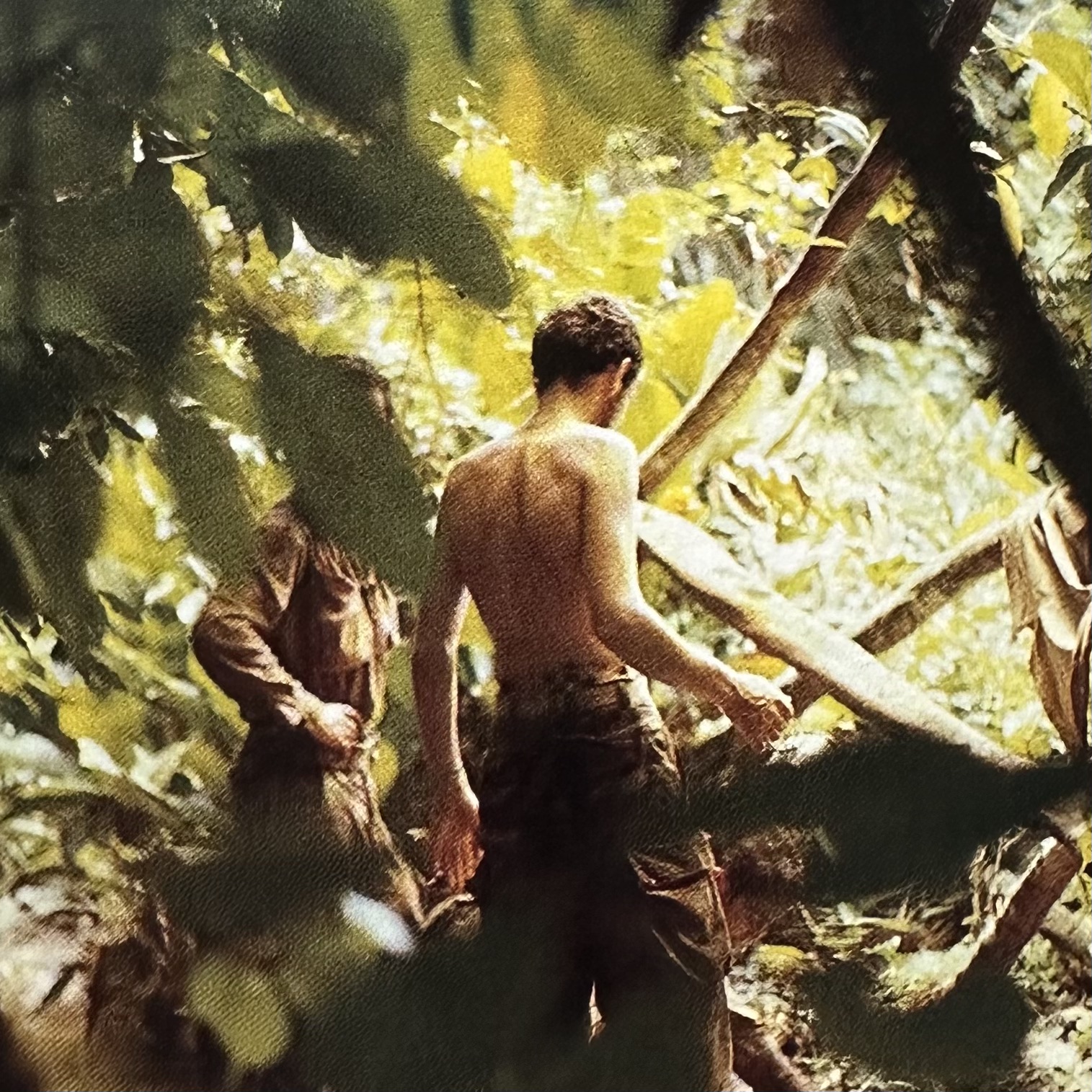 FRANCESCHI P. : Au Congo Jusquau Cou - Expédition Babinga-Pongo 1975. La Route des Rois