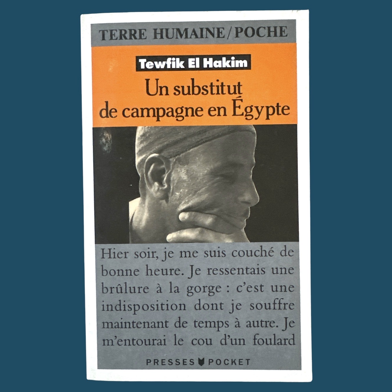 Un Substitut de Campagne en Égypte (110x180mm)