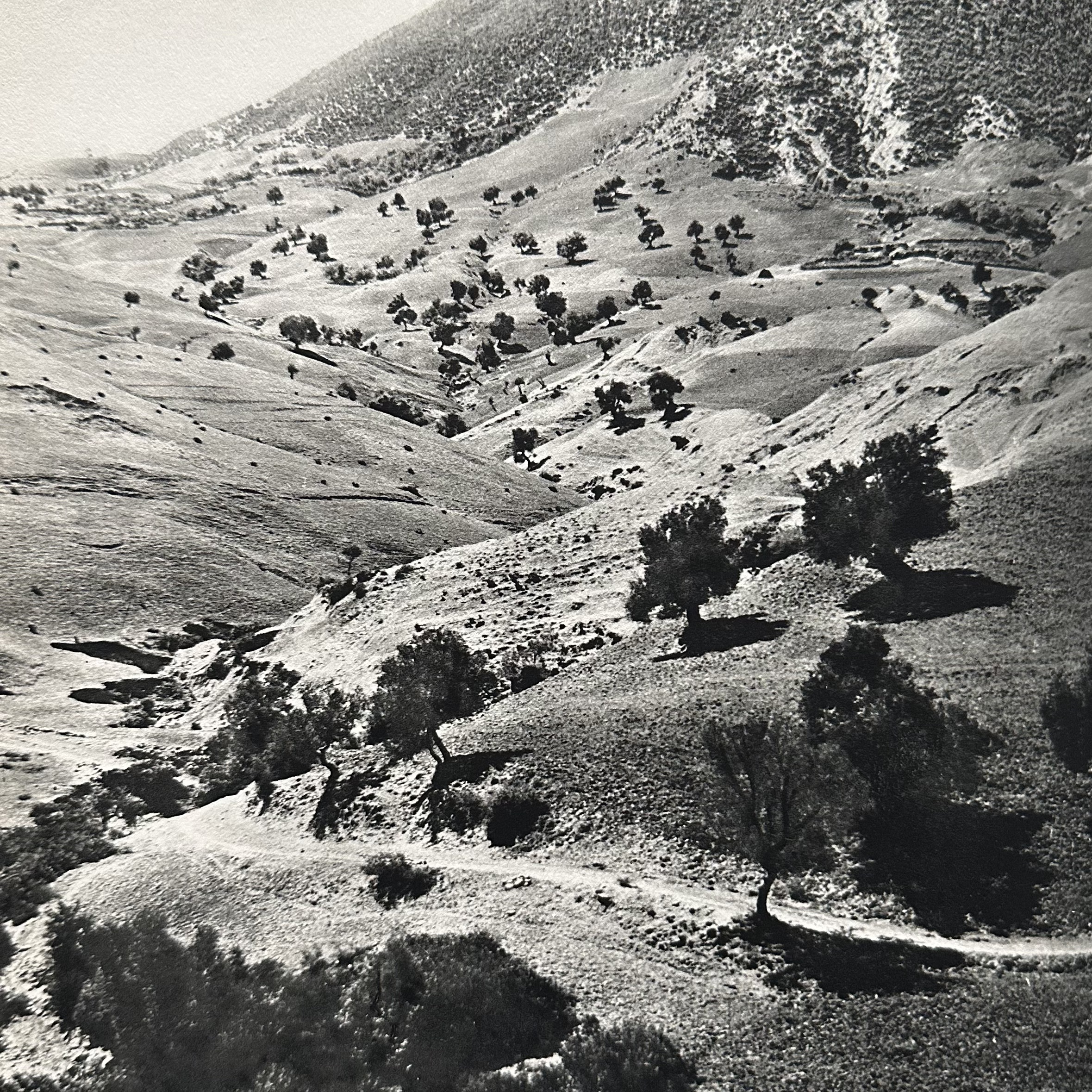 COLLECTIF : Documents Algériens. La Route des Rois. Librairie. Histoire