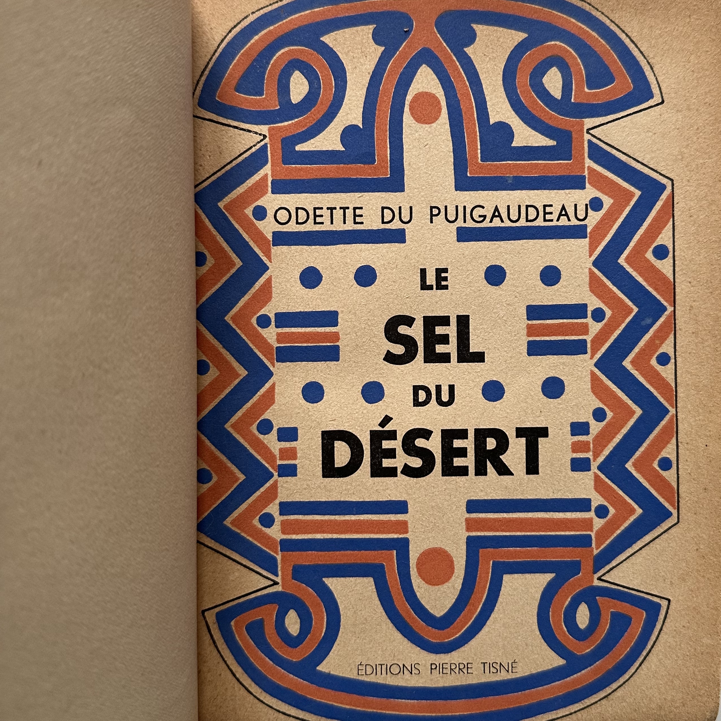 Le sel du désert (210x145mm)