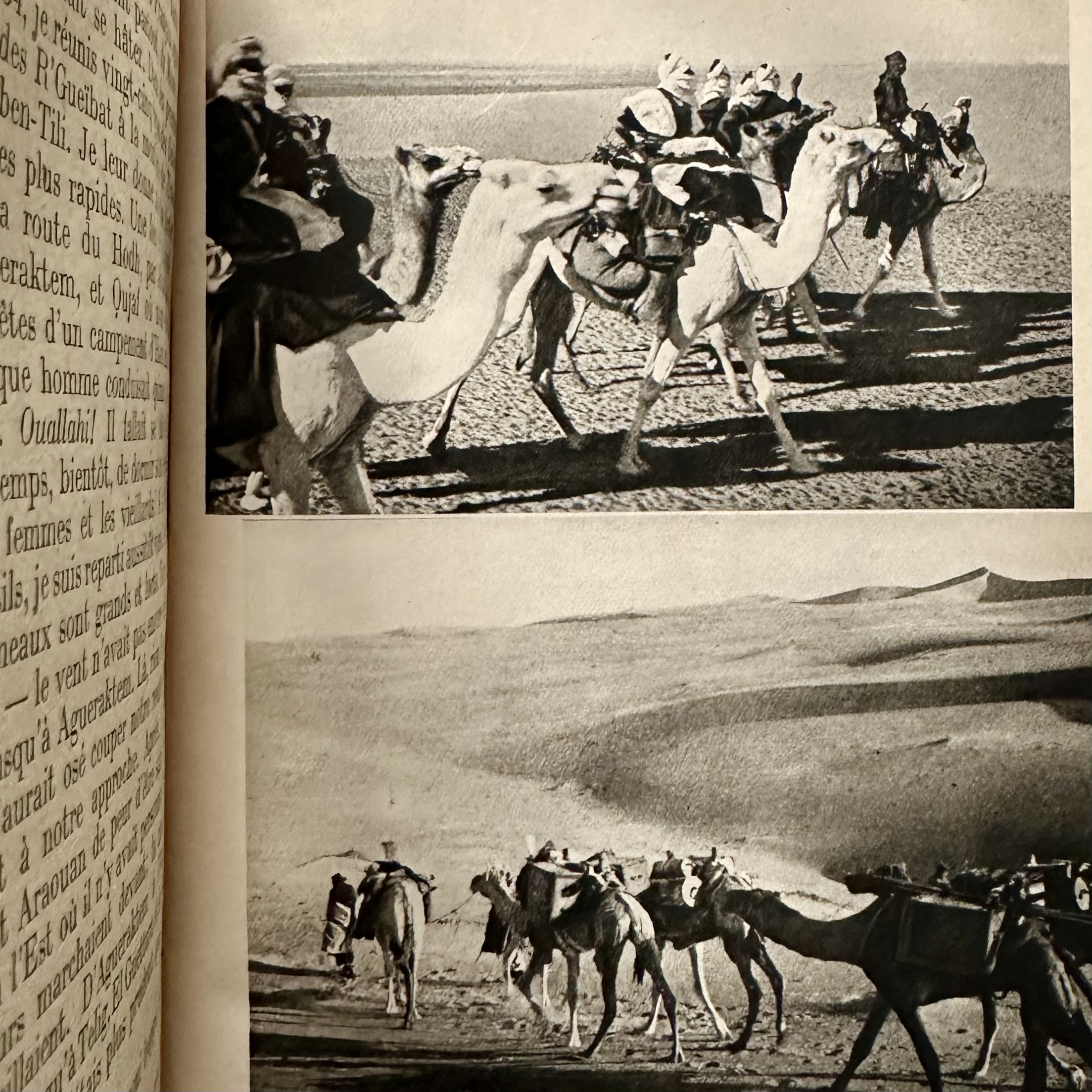 Du PUIGAUDEAU O. : Le sel du désert. La Route des Rois. Librairie. Marseille