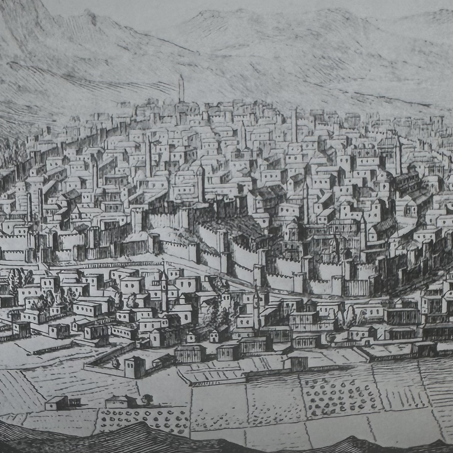 de TOURNEFORT Joseph P. : Voyage dun botanisteTome II. La Turquie, la Géorgie, lArménie. La Route des Rois. Librairie. Voyage