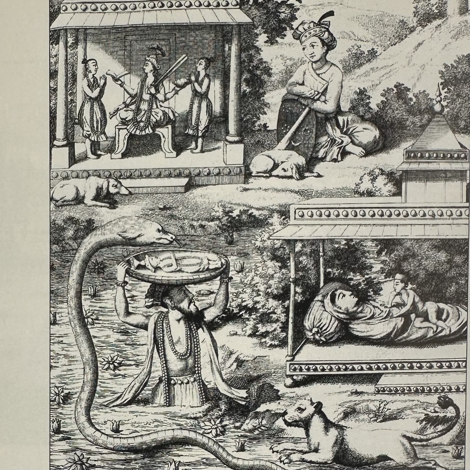 Van der Cruysse Dirk : Le noble désir de courir le monde. La Route des Rois. Librairie. Voyage