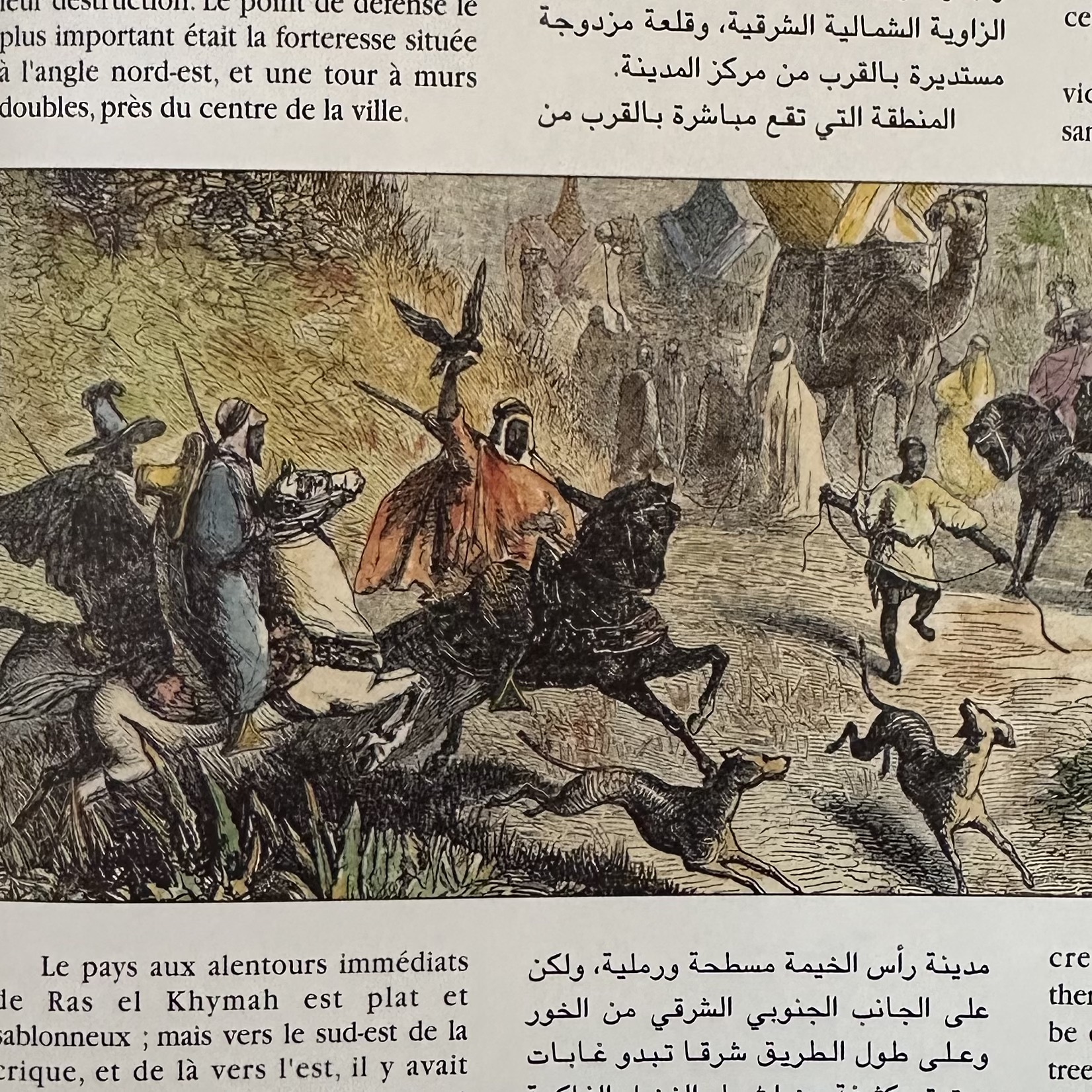 BEGUIN BILLECOCQ X. : Les Émirats ou la fabuleuse histoire de la côte des perles. La Route des Rois. Librairie. Voyage