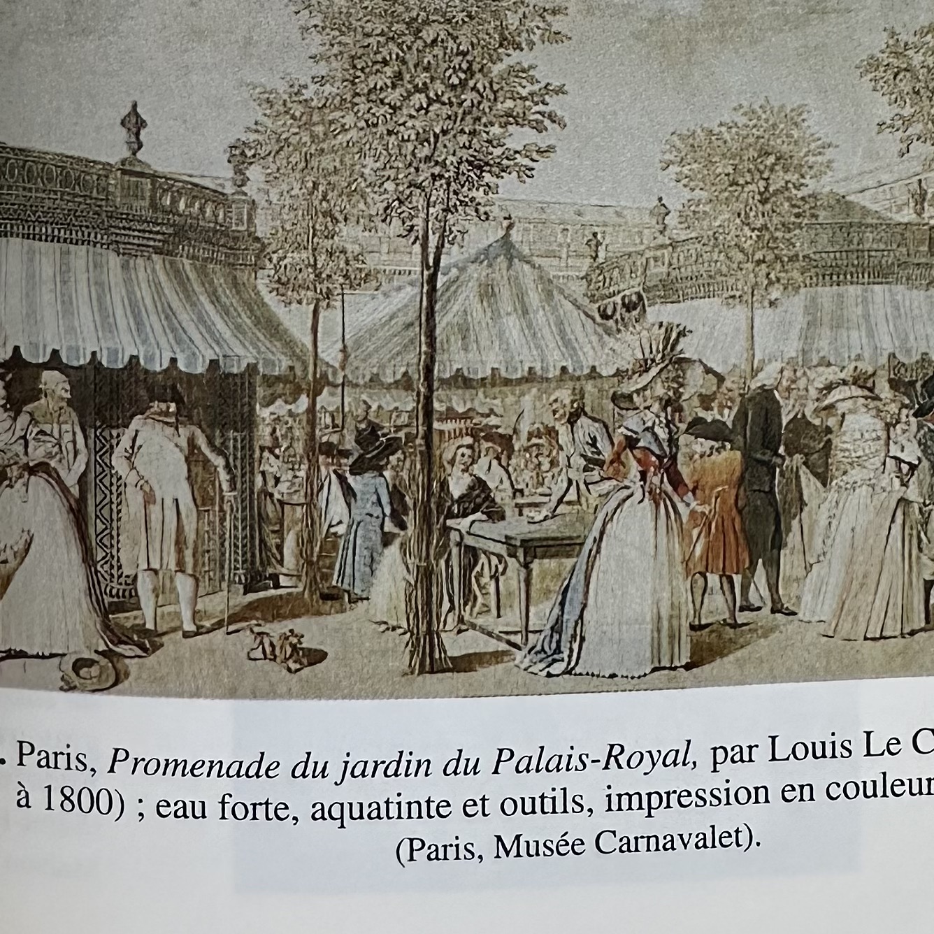 FONVIZINE D. : Lettres de France (1777 - 1778). La Route des Rois. Librairie. Littérature