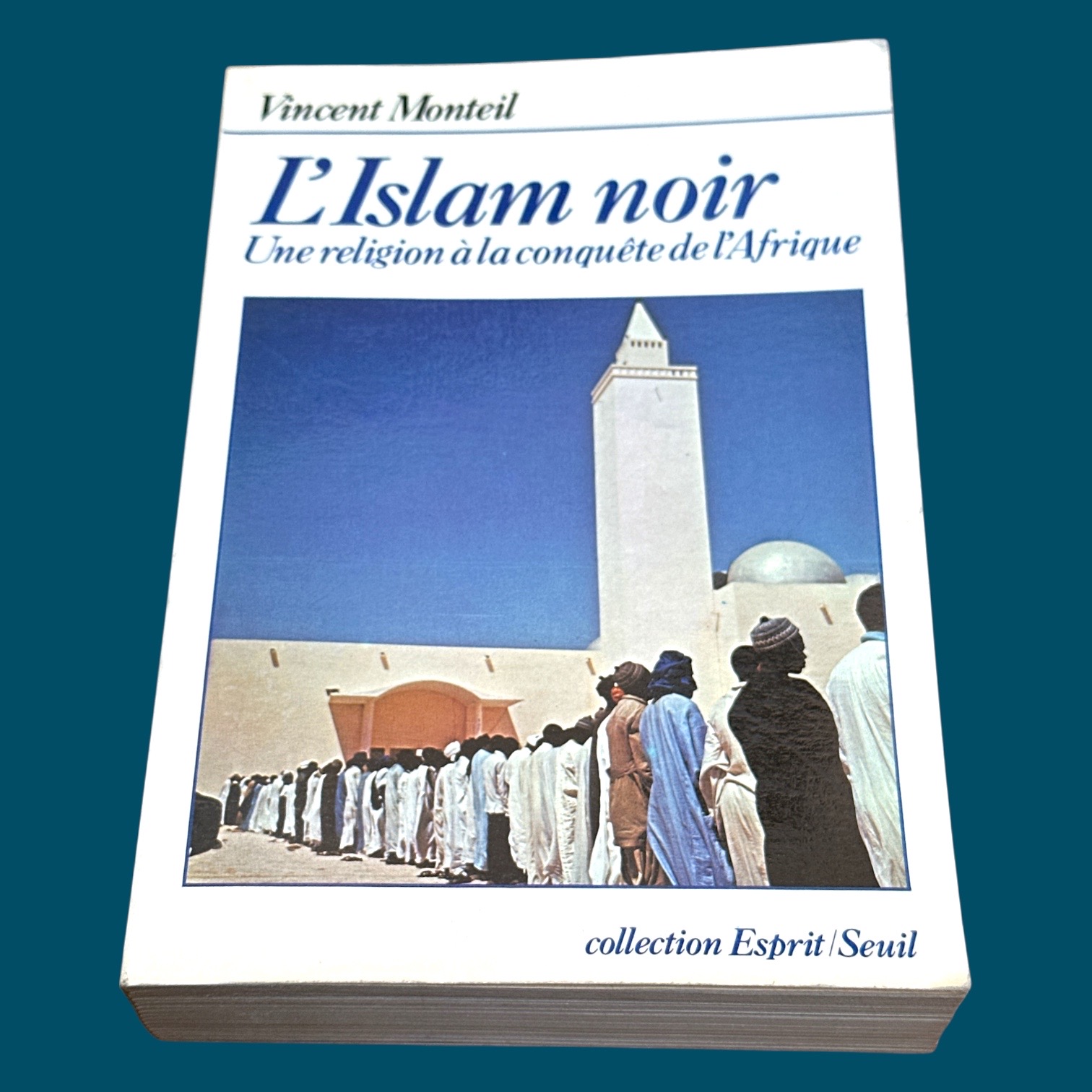 L\'Islam noir - Une religion à la conquête de l\'Afrique (140x205mm)