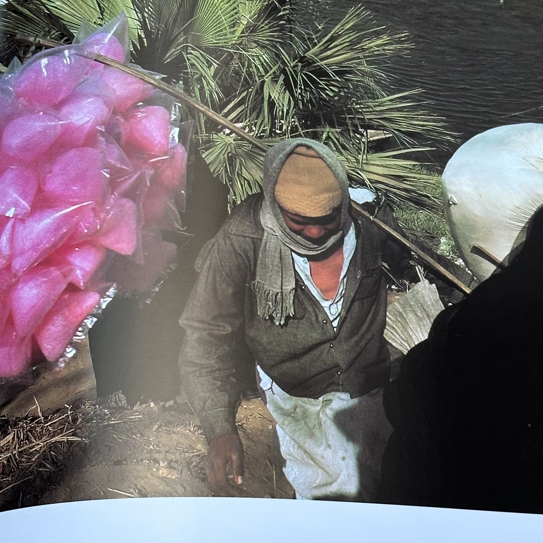 FAUCHON J.-Cl. : Egypte - De la Nubie au Sinaï. La Route des Rois. Librairie. Voyage
