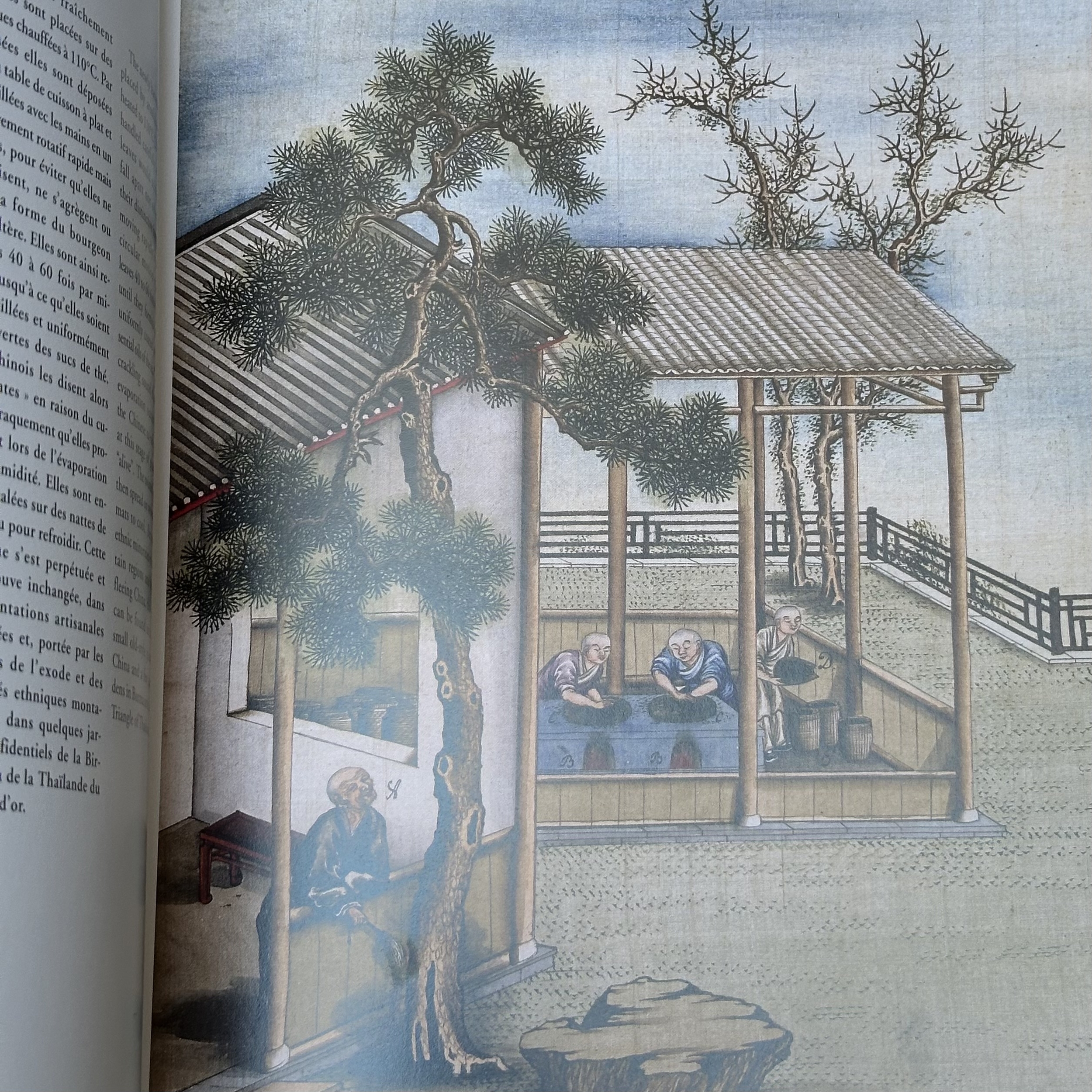 MARIAGE FRERE : Le Voyage du thé - Album chinois du XVIIIe siècle. La Route des Rois. Librairie. Art. Artisanat