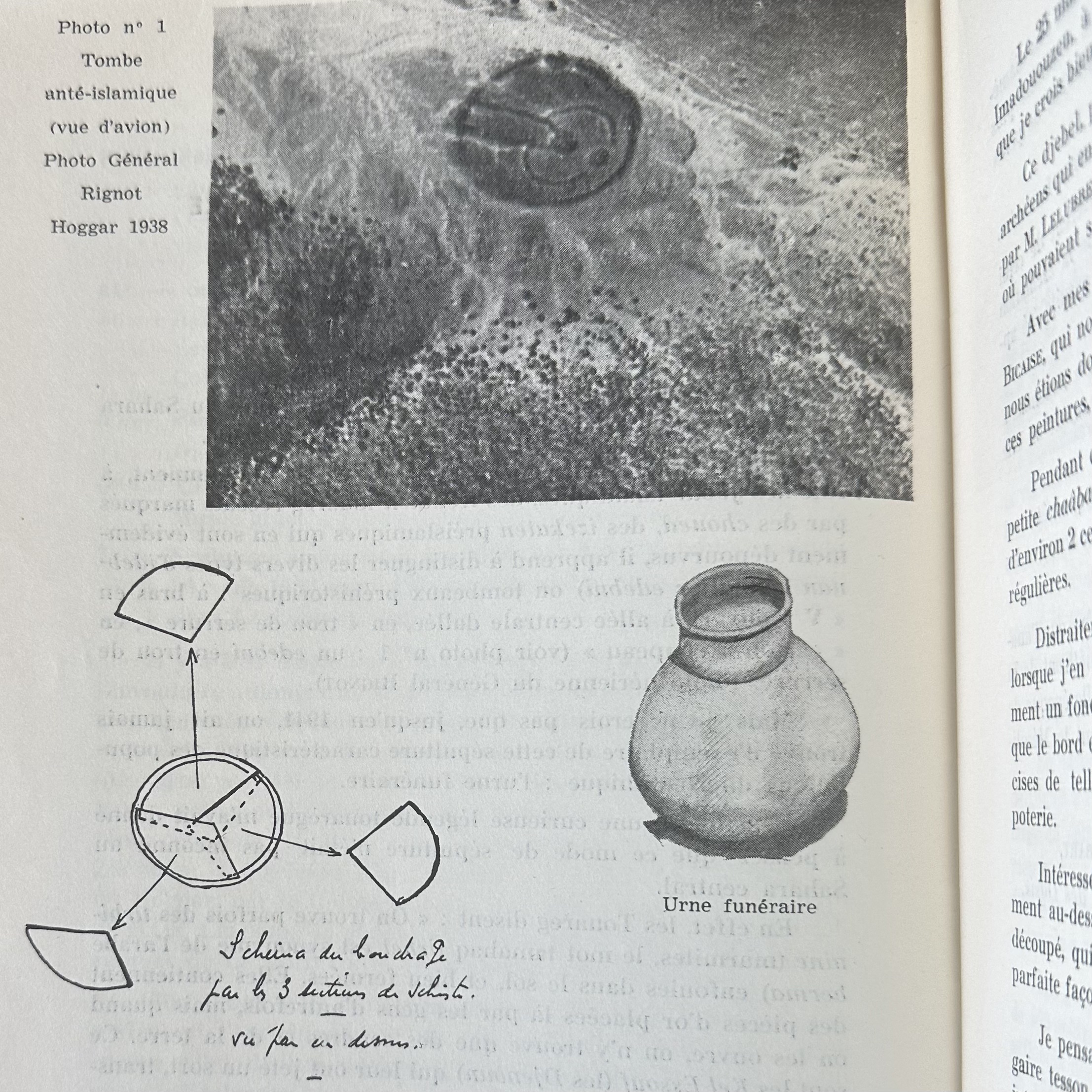 IMG_3766
