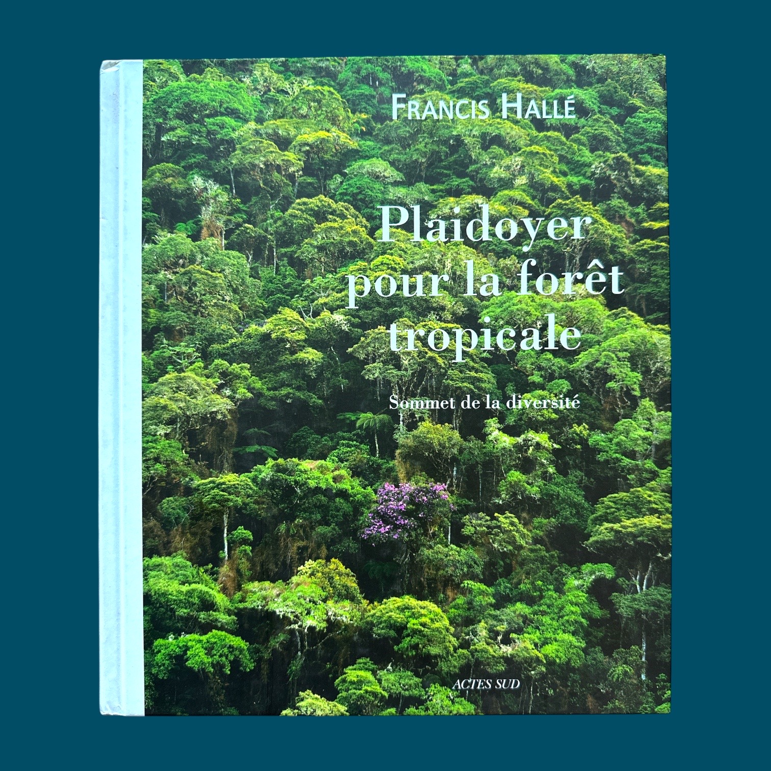 Plaidoyer pour la Forêt Tropicale (215x250mm)