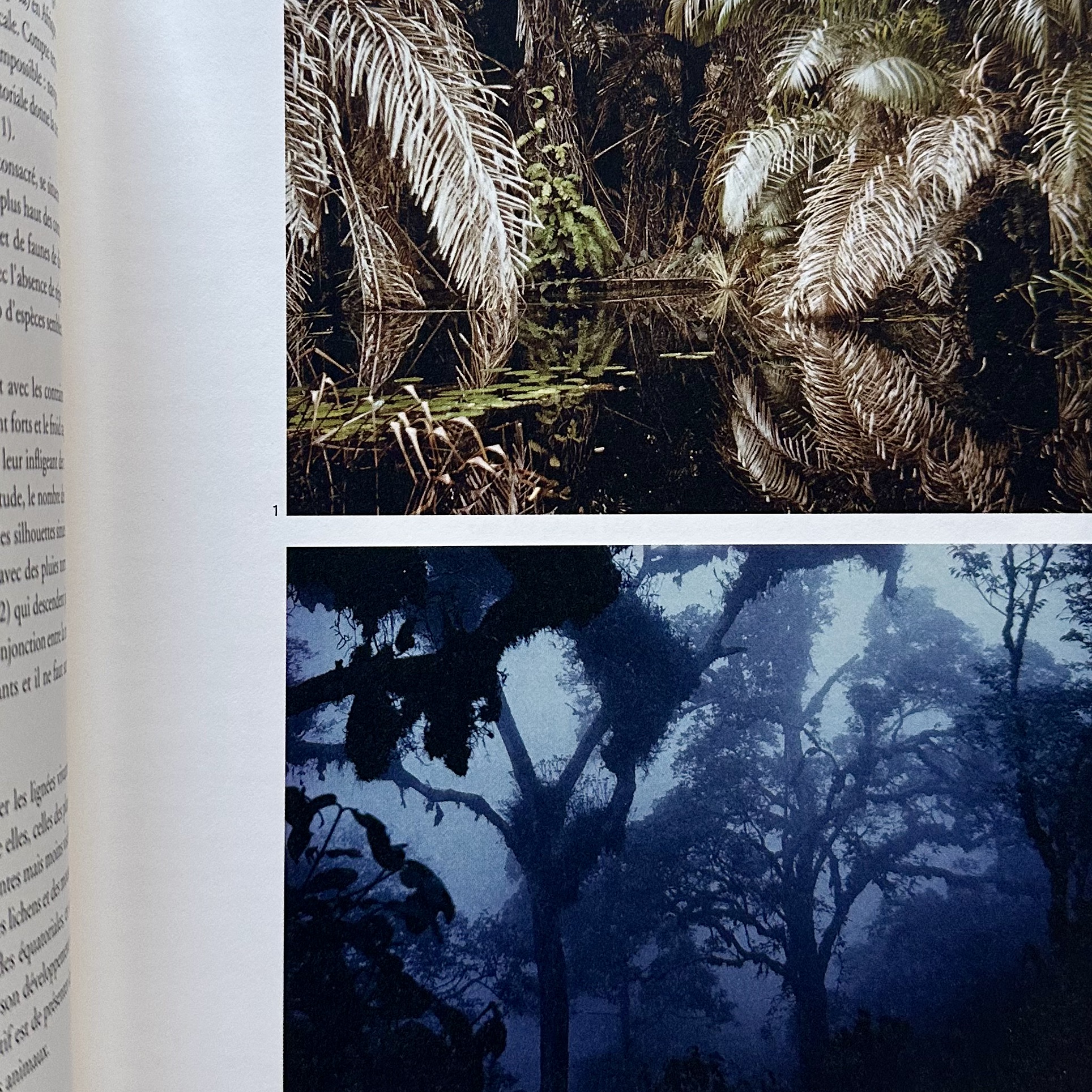HALLÉ Francis : Plaidoyer pour la Forêt Tropicale. Sommet de la diversité. La Route des Rois. Librairie. Jardin/Ecologie