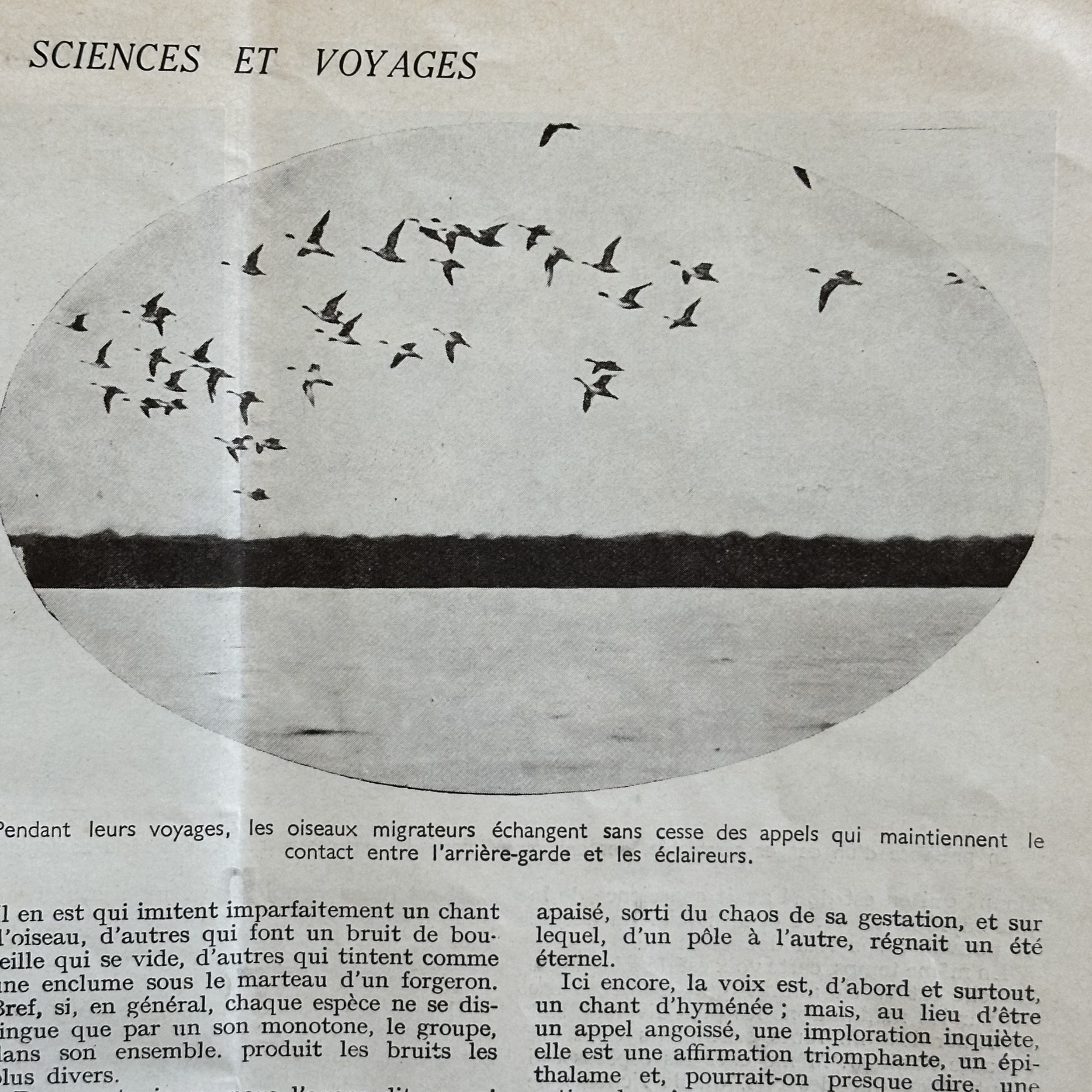 COLLECTIF : Sciences et Voyages. Revue. 762 à 774. La Route des Rois. Librairie. Voyage
