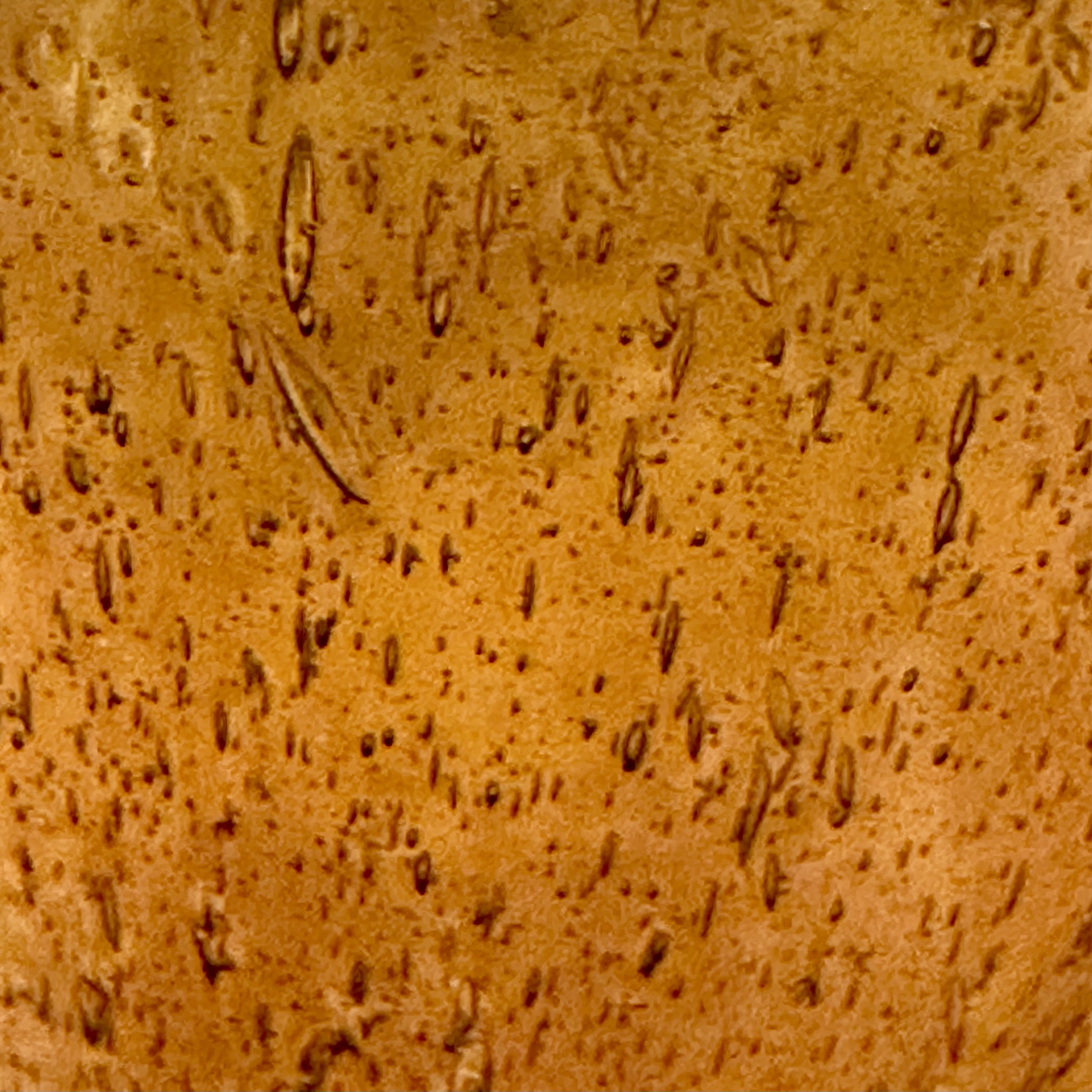 Verre Shérazade ambre miel Egypte. VerSh4. La Route des Rois. Lifestyle. Verre soufflé Egypte
