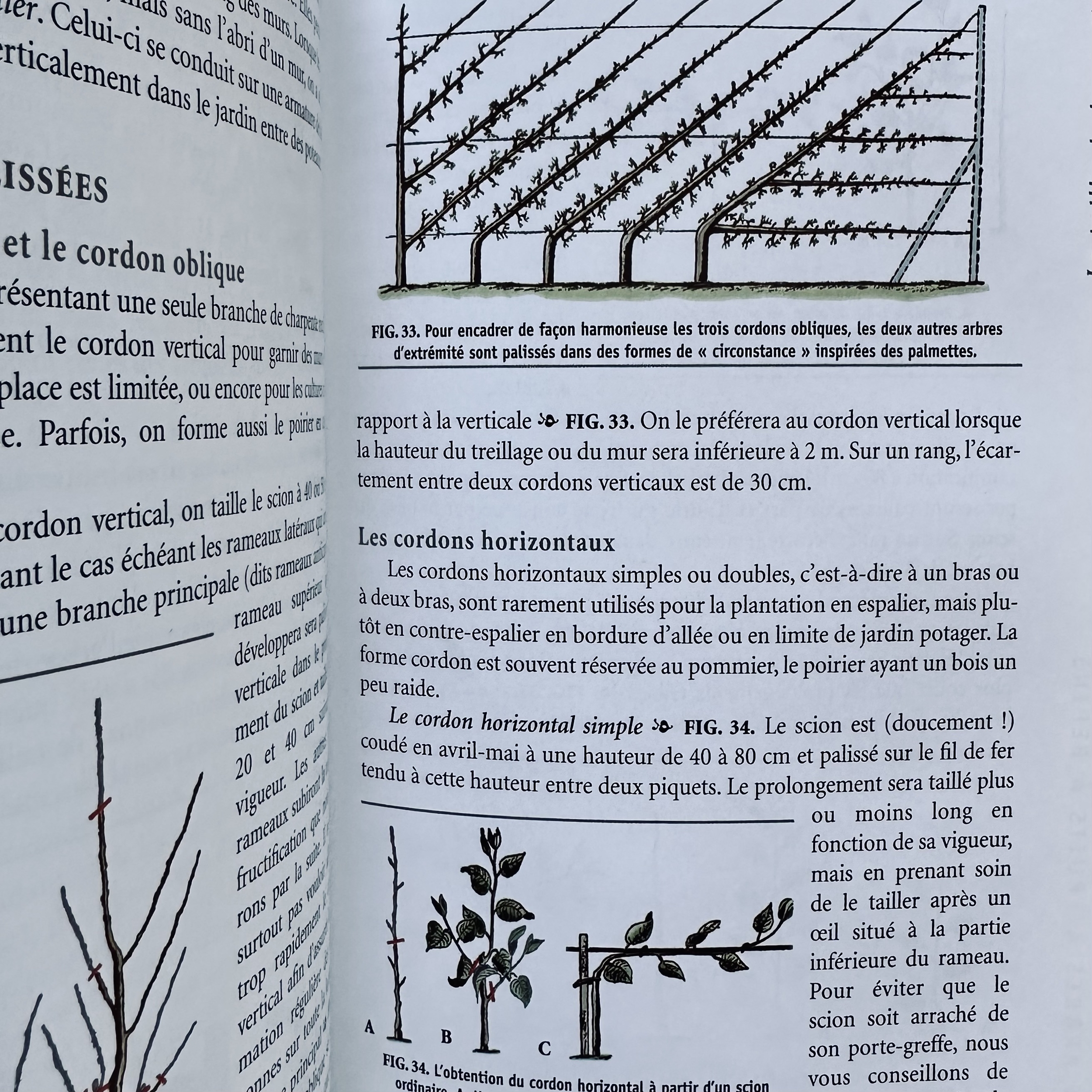 TRUFFAUT G. : LArt de Tailler. La Route des Rois. Librairie. Jardin/Ecologie