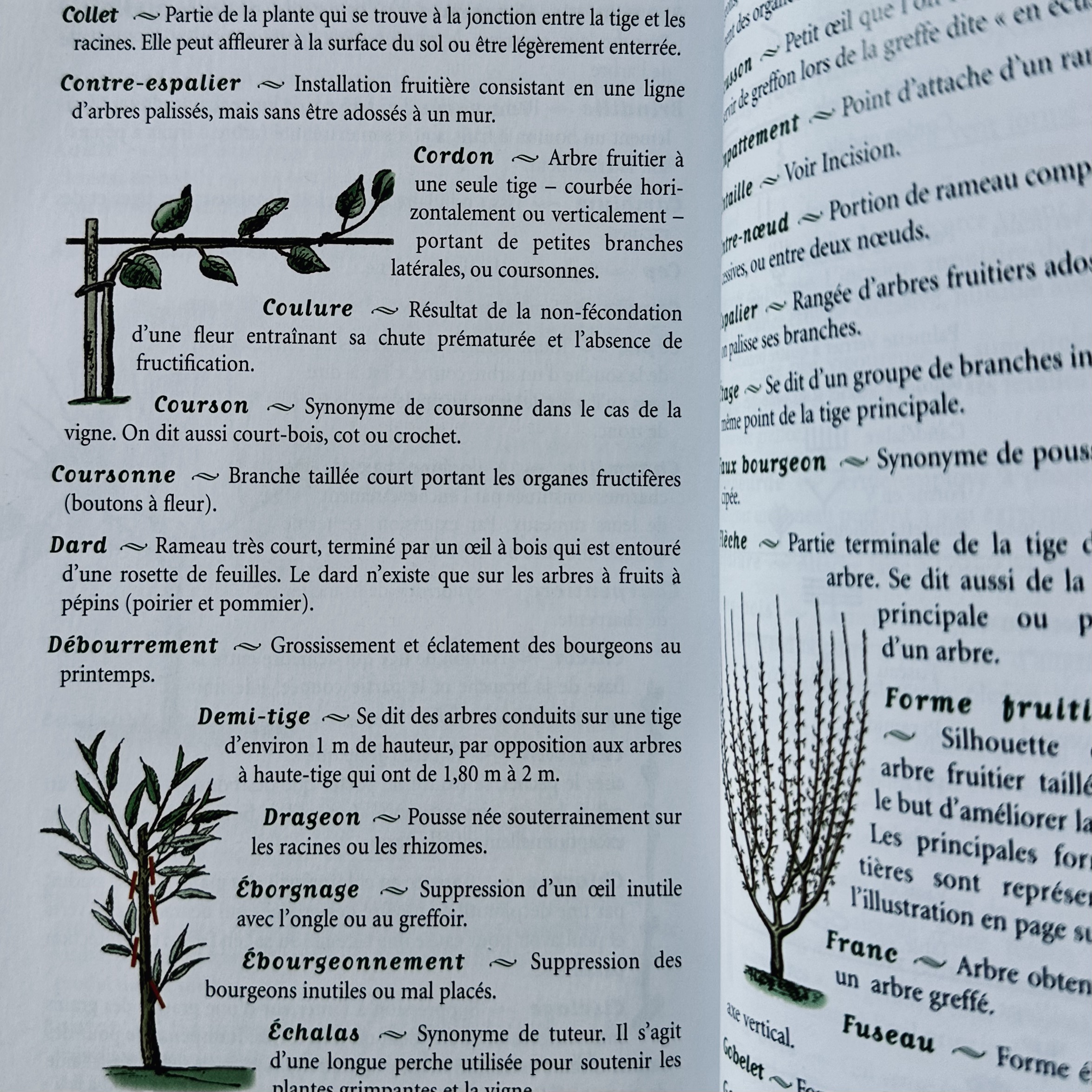 TRUFFAUT G. : LArt de Tailler. La Route des Rois. Librairie. Jardin/Ecologie