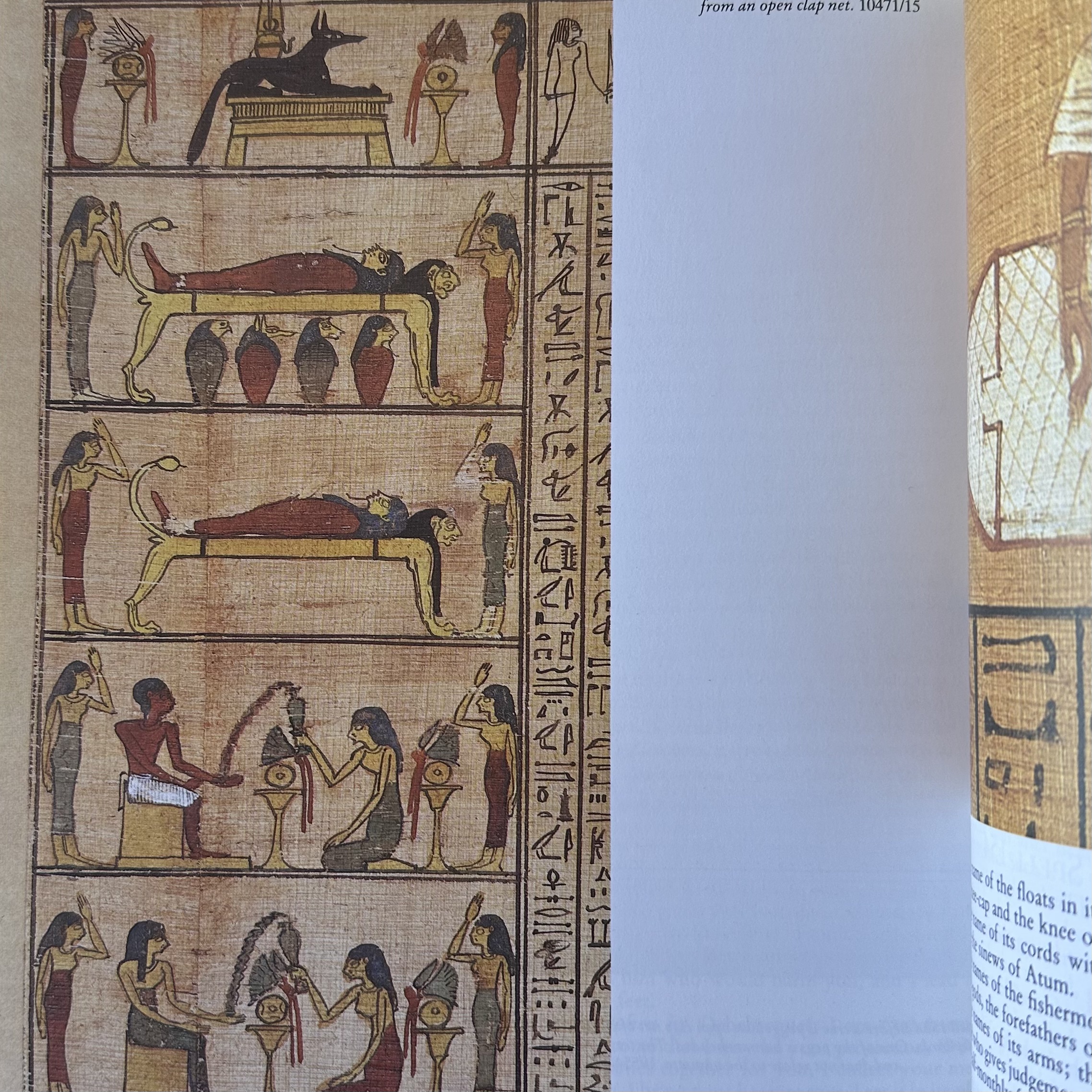FAULKNER R. O. : The Ancient Egyptian Book of the Dead. La Route des Rois. Librairie. Archéologie